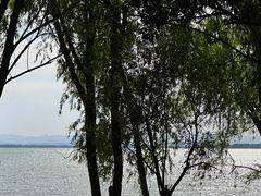 -平顶山博物馆
