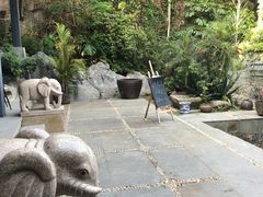-金鸡山公园