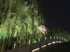 -颜家菜·鲁菜世家(大明湖店)