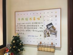 -滚猫咖啡·猫咖·猫友好撸猫(未来城店)