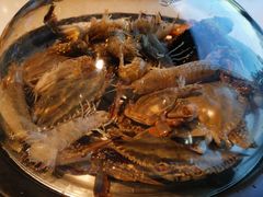 -蓝珊甄选海鲜自助·火锅大排档(近阿那亚店)