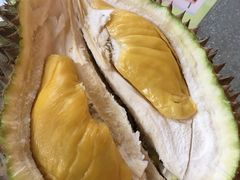 -都念榴莲·城市榴莲