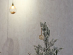-雪凇咖啡snowsong(三盛店)