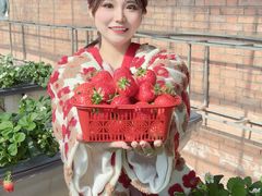 -甜心庄园·甜心草莓采摘园(西青中北店)