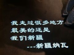 -纳瓦新疆菜(银都店)