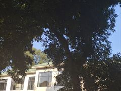 -张坝桂圆林公园