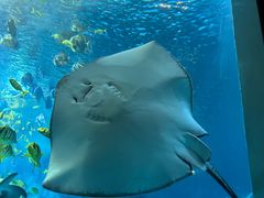 -太平洋海底世界