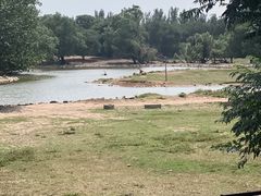 -北京麋鹿生态实验中心