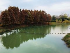 -尚贤河湿地