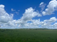 -塞罕坝国家级自然保护区