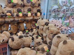 -無弓射箭俱乐部(领展中心城店)