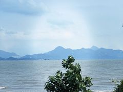 -深圳湾公园(南山区)