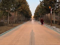 -长春市南湖公园