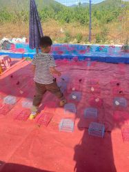 -浅山蜜塘奇妙乐园·亲子营地