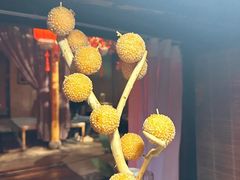-锦上中式酒馆(南内环店)