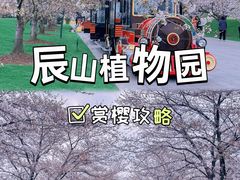 -上海辰山植物园