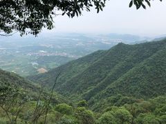 -午潮山国家森林公园