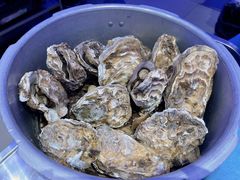 -千岛蚝高压锅生蚝·人参火锅(白云万达店)