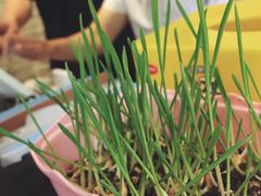 -牛王庙吳記怪味面(双楠店)