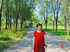 -东郊湿地公园