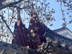 -长春观