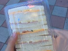 -洪瑞珍三明治(忠孝店)