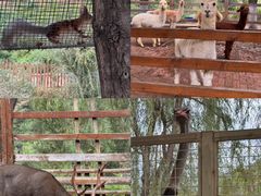 -桑干河大峡谷旅游区