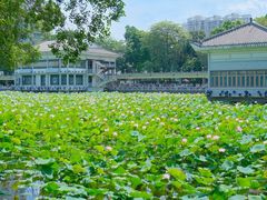 -荔湾湖公园