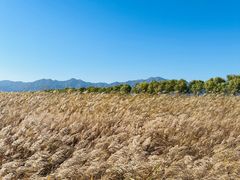 -野鸭湖国家湿地公园