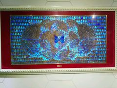 -上海昆虫博物馆