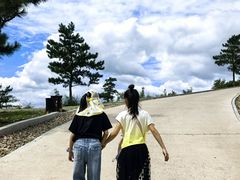 -红山国家森林公园