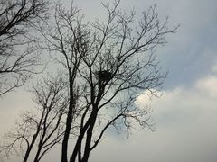 android_upload_pic-八大关景区