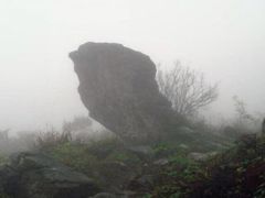 -镇龙山国家森林公园