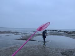 -日照世帆赛基地