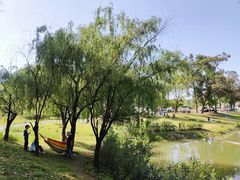 -两河城市森林公园