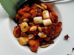 -梧桐