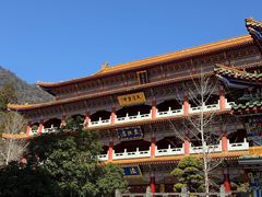 -天目山大树王景区