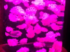 -多彩贵州城极地海洋世界