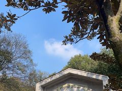 -WeLope紫金山探险公园