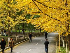 -长白岛森林公园