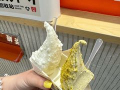 -野人先生现做冰淇淋(西安赛格店)
