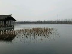 -溱湖国家湿地公园