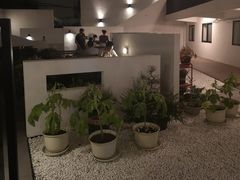 -大隐国际青年旅舍(上海陆家嘴东方明珠店)