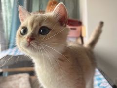 -派特宠物医院(圆融广场店)