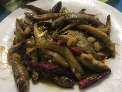 -夏军农家乐
