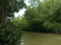 -大湾区中央湿地公园
