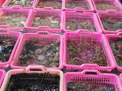 大堂-众味海鲜大排档·活海鲜·潮汕味(南澳店)