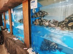 -郑庄脂渣海鲜楼(九水路店)
