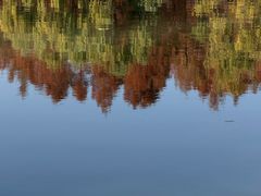 -浙江大学(紫金港校区)