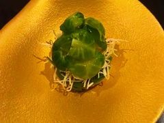 -炎橘·板前料理 Omakase